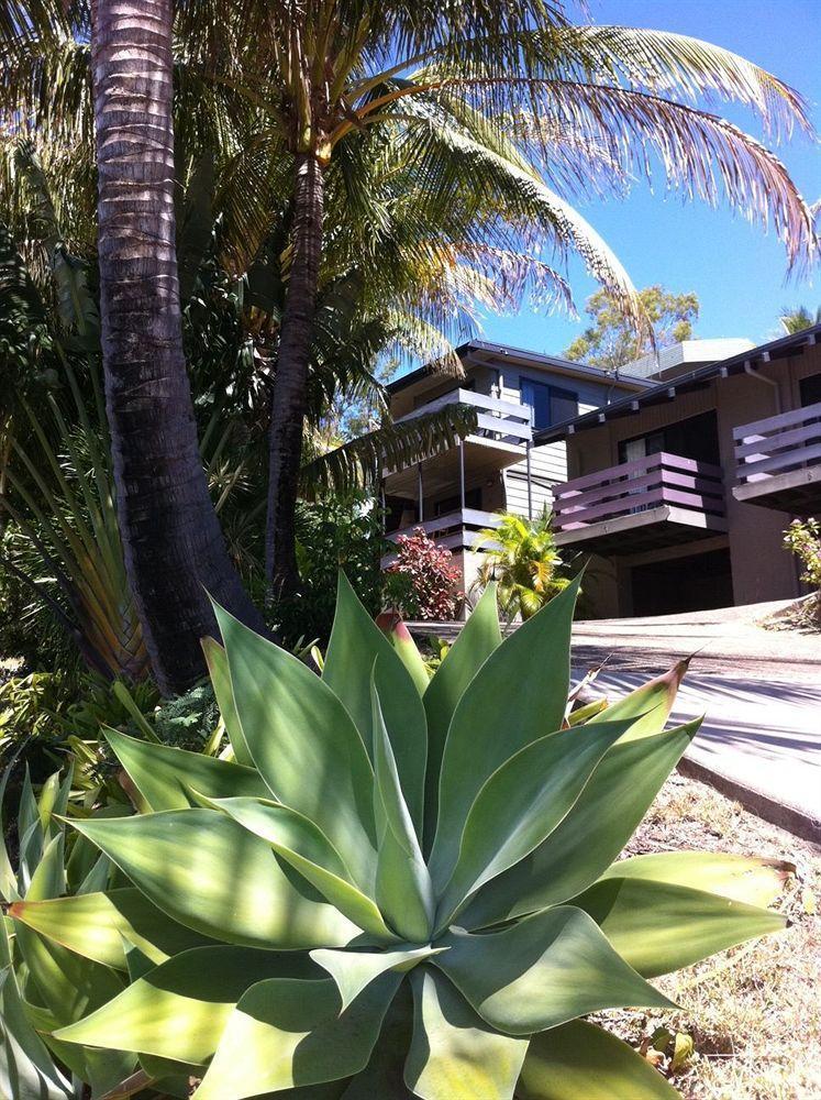 Airlie Beach Lodge Exterior foto